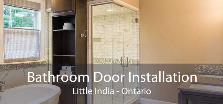 Bathroom Door Installation Little India - Ontario