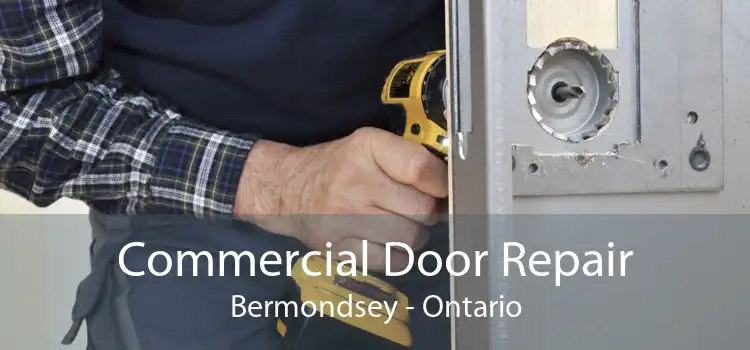 Commercial Door Repair Bermondsey - Ontario