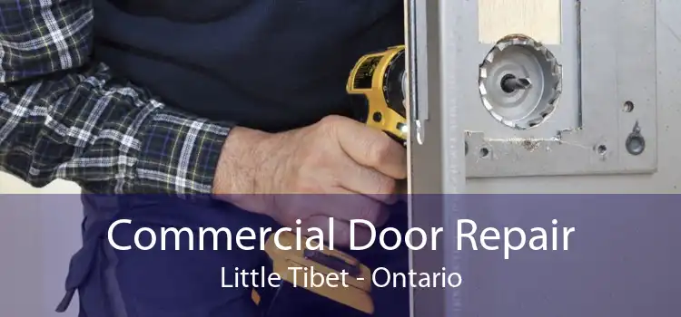 Commercial Door Repair Little Tibet - Ontario