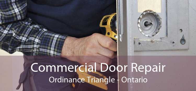 Commercial Door Repair Ordinance Triangle - Ontario