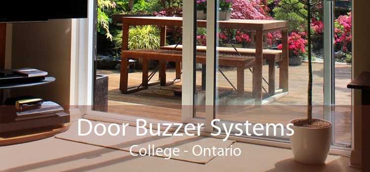 Door Buzzer Systems College - Ontario