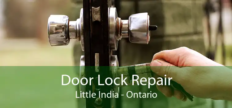 Door Lock Repair Little India - Ontario
