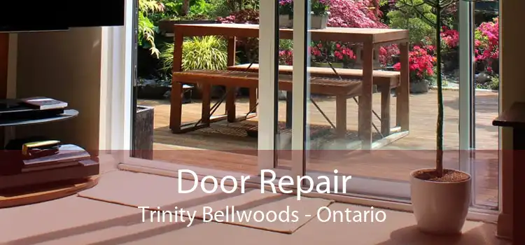 Door Repair Trinity Bellwoods - Ontario