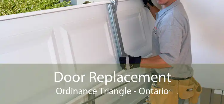 Door Replacement Ordinance Triangle - Ontario