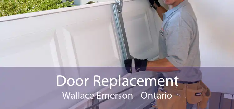 Door Replacement Wallace Emerson - Ontario