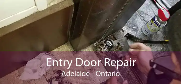 Entry Door Repair Adelaide - Ontario