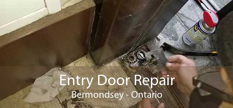 Entry Door Repair Bermondsey - Ontario