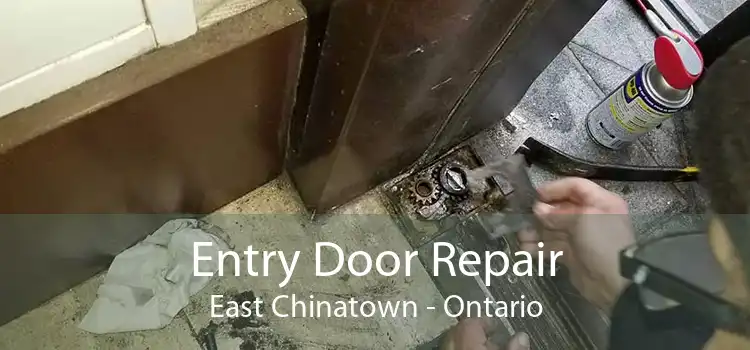 Entry Door Repair East Chinatown - Ontario