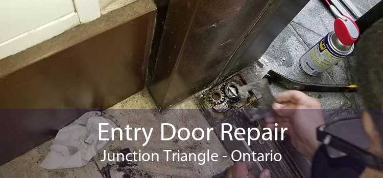 Entry Door Repair Junction Triangle - Ontario
