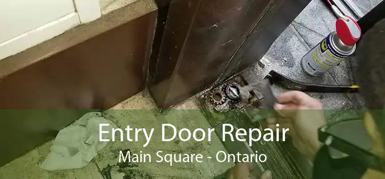 Entry Door Repair Main Square - Ontario