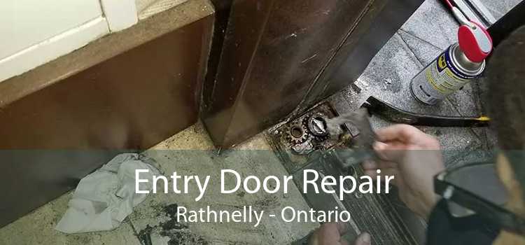Entry Door Repair Rathnelly - Ontario