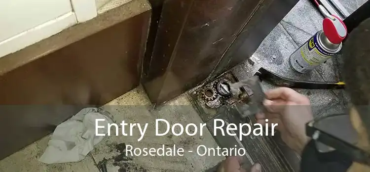 Entry Door Repair Rosedale - Ontario