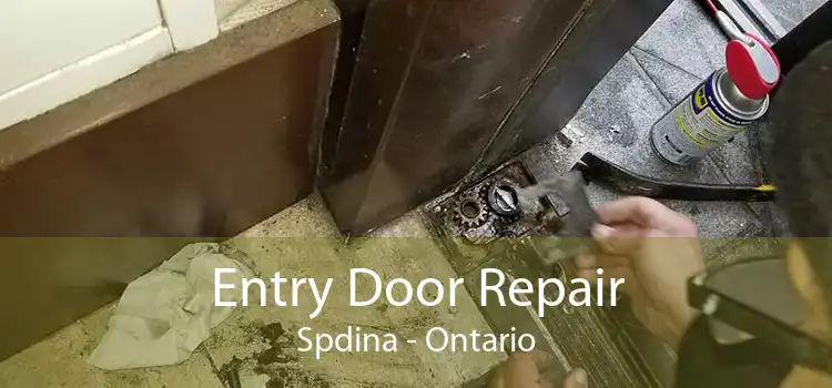 Entry Door Repair Spdina - Ontario