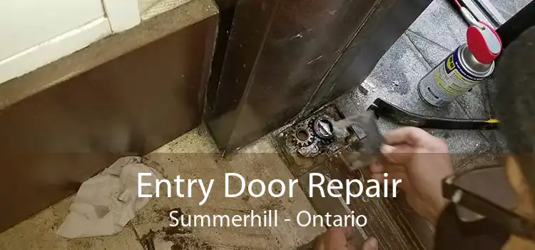 Entry Door Repair Summerhill - Ontario
