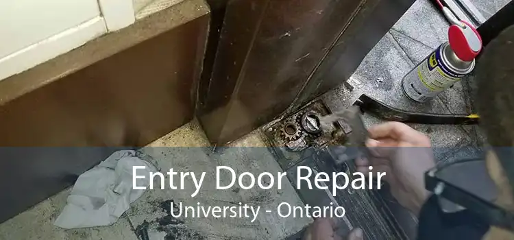 Entry Door Repair University - Ontario