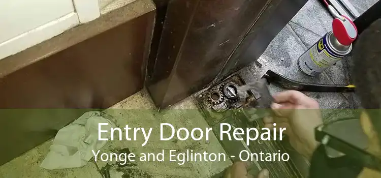 Entry Door Repair Yonge and Eglinton - Ontario