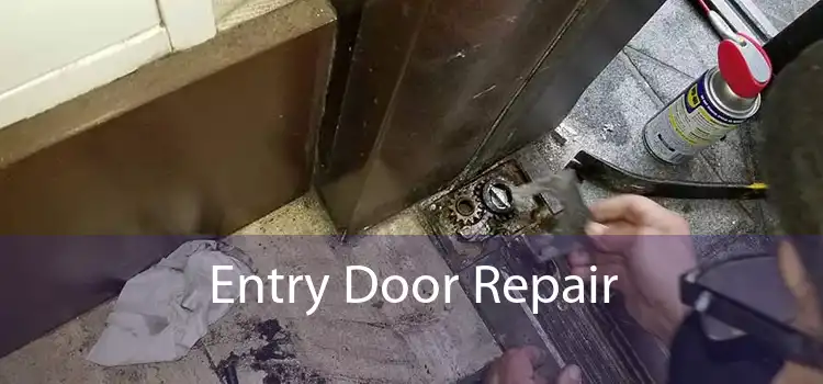 Entry Door Repair