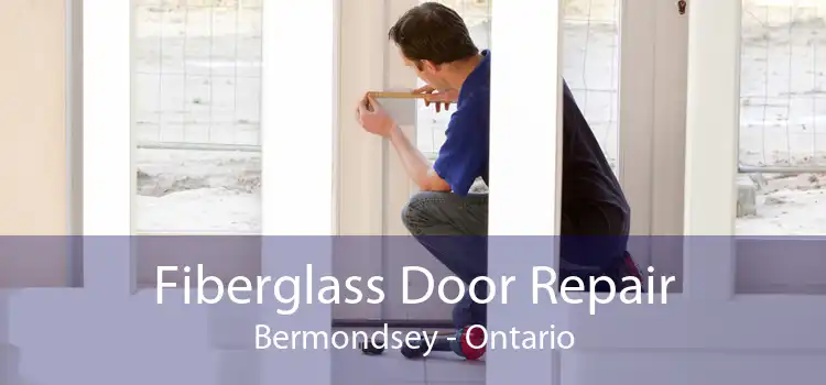 Fiberglass Door Repair Bermondsey - Ontario