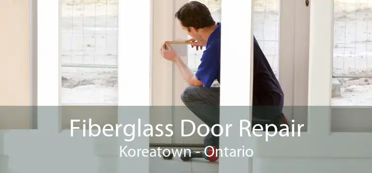 Fiberglass Door Repair Koreatown - Ontario