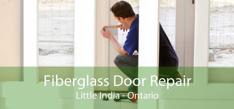 Fiberglass Door Repair Little India - Ontario