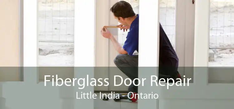 Fiberglass Door Repair Little India - Ontario