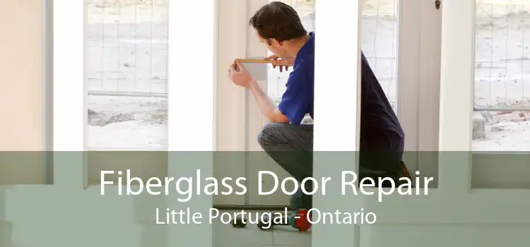 Fiberglass Door Repair Little Portugal - Ontario