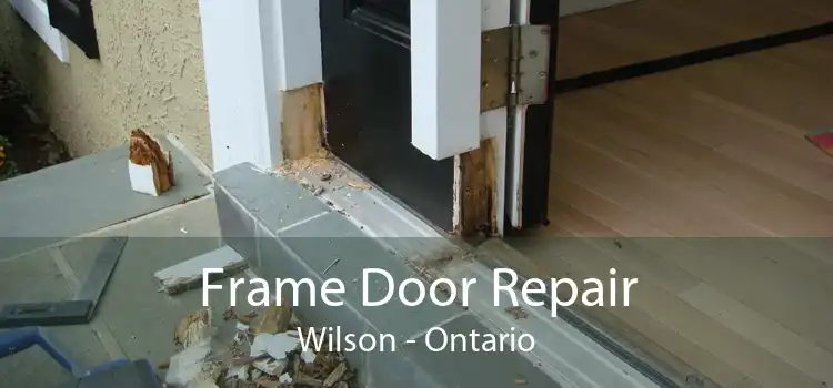 Frame Door Repair Wilson - Ontario