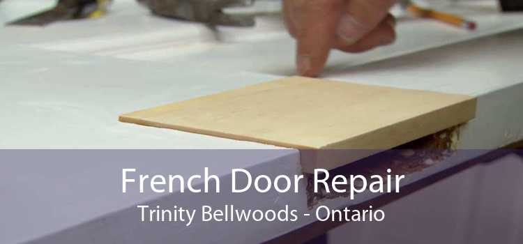 French Door Repair Trinity Bellwoods - Ontario