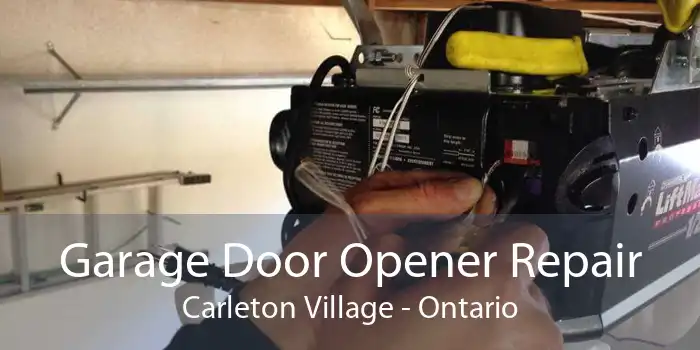 Garage Door Opener Repair Carleton Village - Ontario