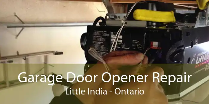Garage Door Opener Repair Little India - Ontario