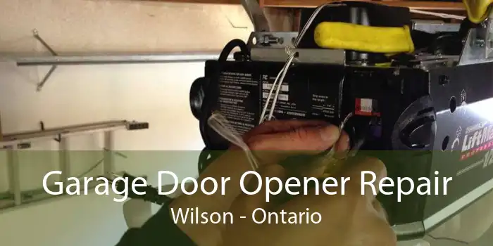 Garage Door Opener Repair Wilson - Ontario