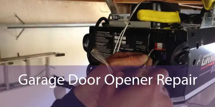 Garage Door Opener Repair
