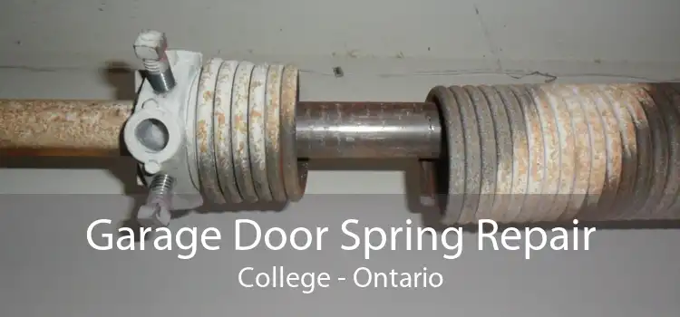 Garage Door Spring Repair College - Ontario