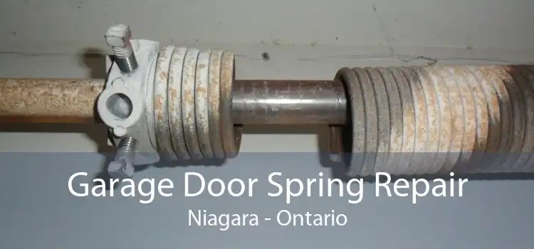 Garage Door Spring Repair Niagara - Ontario