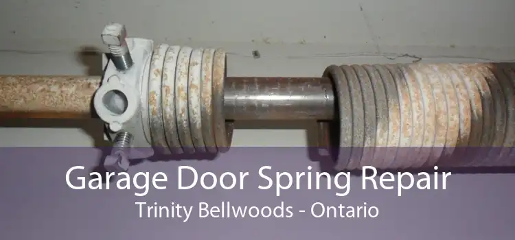 Garage Door Spring Repair Trinity Bellwoods - Ontario