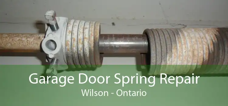 Garage Door Spring Repair Wilson - Ontario