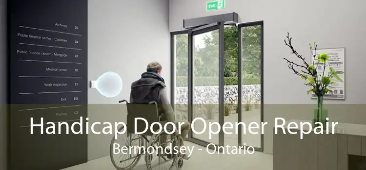 Handicap Door Opener Repair Bermondsey - Ontario
