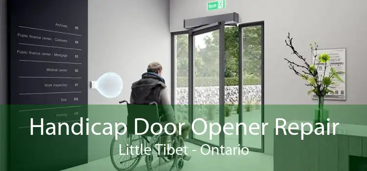 Handicap Door Opener Repair Little Tibet - Ontario