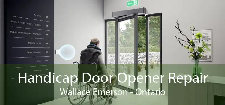 Handicap Door Opener Repair Wallace Emerson - Ontario