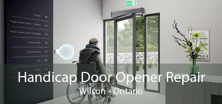 Handicap Door Opener Repair Wilson - Ontario