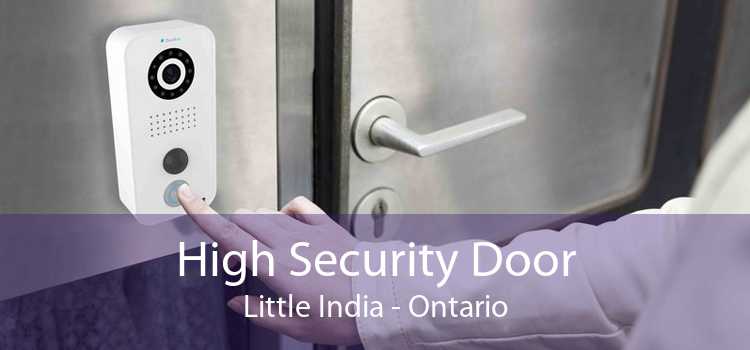 High Security Door Little India - Ontario