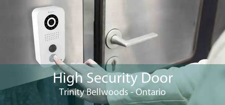 High Security Door Trinity Bellwoods - Ontario