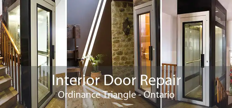 Interior Door Repair Ordinance Triangle - Ontario