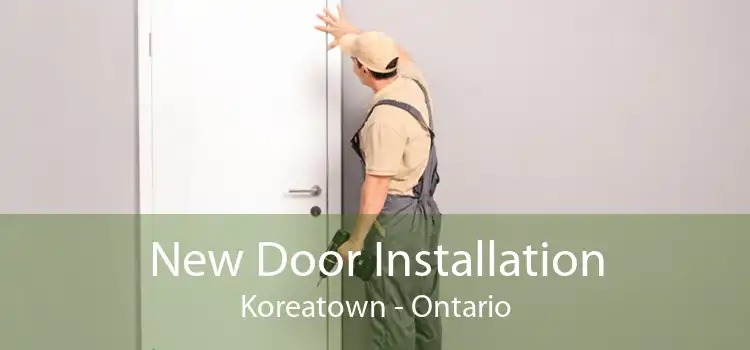 New Door Installation Koreatown - Ontario