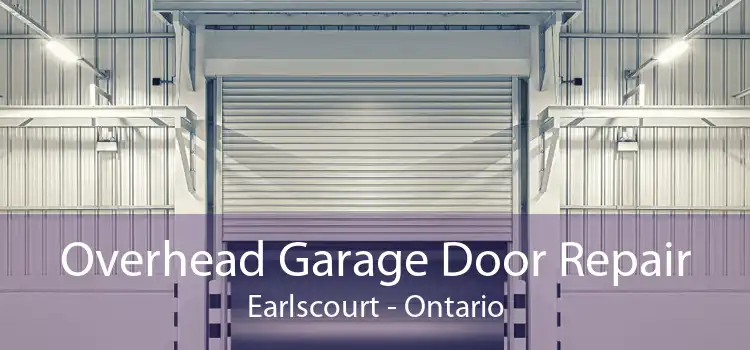 Overhead Garage Door Repair Earlscourt - Ontario