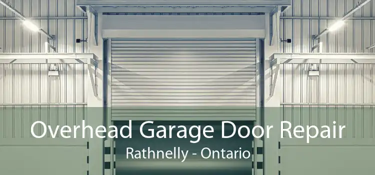 Overhead Garage Door Repair Rathnelly - Ontario