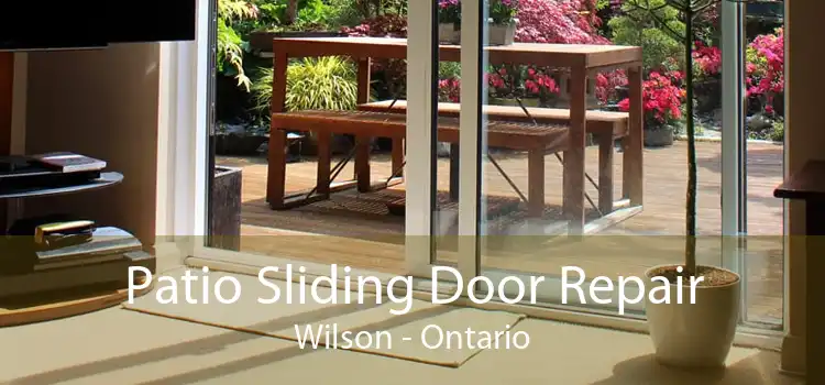 Patio Sliding Door Repair Wilson - Ontario
