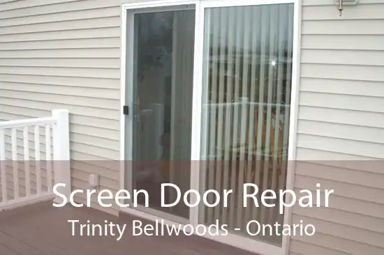 Screen Door Repair Trinity Bellwoods - Ontario