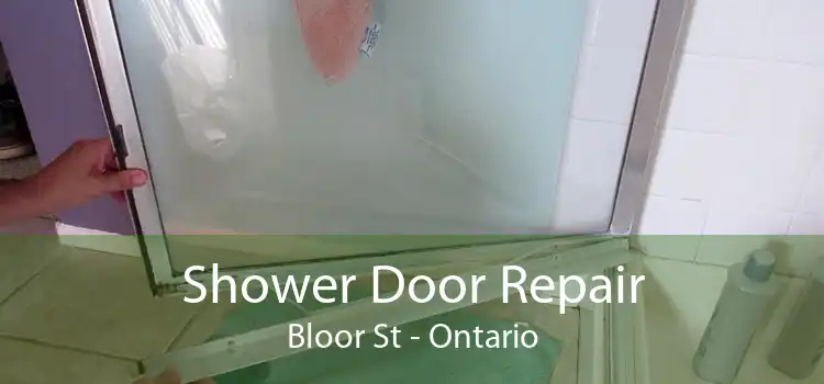 Shower Door Repair Bloor St - Ontario