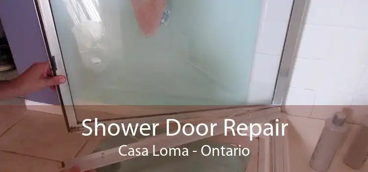 Shower Door Repair Casa Loma - Ontario